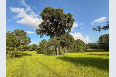 11505 US Highway 69 N, Colmesneil, TX 75938 - Photo 31