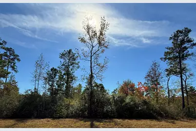 312 Iron Horse Road, New Waverly, TX 77358 - Photo 9