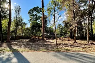 0 Spring Creek Dr, Spring, TX 77380 - Photo 3