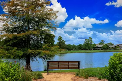 50 Secluded Trail, The Woodlands, TX 77380 - Photo 31