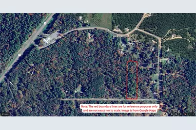 0000 Saddle Surrey Lane, Coldspring, TX 77331 - Photo 5