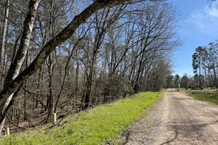 0000 Saddle Surrey Ln, Coldspring, TX 77331 - Photo 3