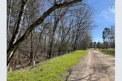 0000 Saddle Surrey Lane, Coldspring, TX 77331 - Photo 3