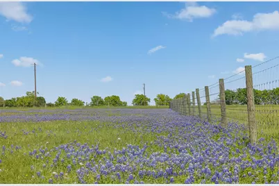 139 Blossom Hill Road, Round Top, TX 78954 - Photo 17