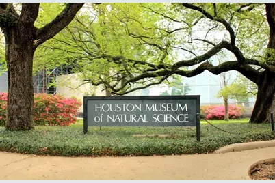 2001 Holcombe Boulevard #404, Houston, TX 77030 - Photo 29