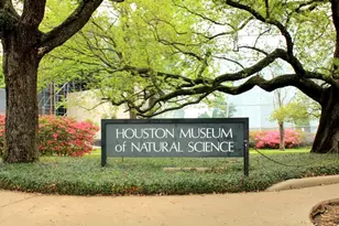 2001 Holcombe Blvd, Houston, TX 77030 - Photo 29