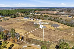 9654 Old Cedars Ct, Plantersville, TX 77363 - Photo 1