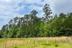 0 Elise Gore Ln, Silsbee, TX 77656 - Photo 1
