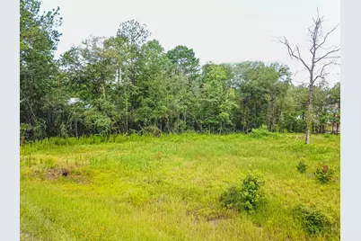 18332 Wisp Willow Way, Porter, TX 77365 - Photo 43