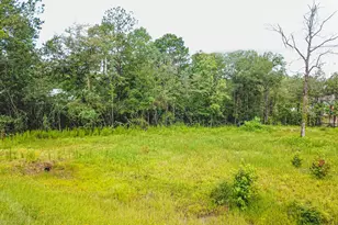 18332 Wisp Willow Way, Porter, TX 77365 - Photo 43