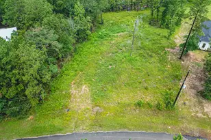 18332 Wisp Willow Way, Porter, TX 77365 - Photo 47