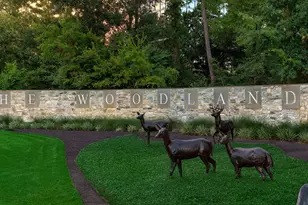 26 Southfork Pines Pl, The Woodlands, TX 77381 - Photo 29
