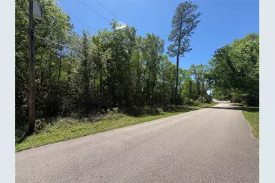 000 E Williford, Kountze, TX 77625 - Photo 3