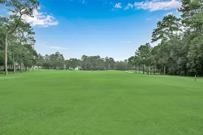 2 Alladdin Lane, The Woodlands, TX 77380 - Photo 25