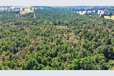 60 County Road 114, Centerville, TX 75833 - Photo 9