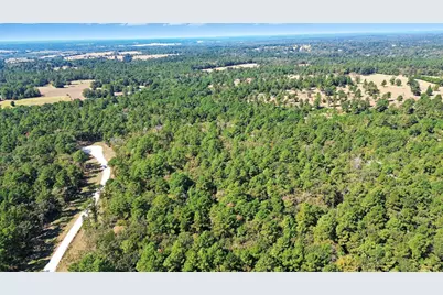 60 County Road 114, Centerville, TX 75833 - Photo 13