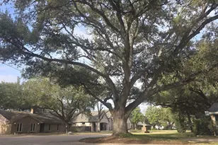 802 San Marino St, Sugar Land, TX 77478 - Photo 9