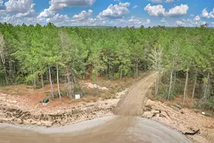 25108 Ft Davis Rd, Montgomery, TX 77316 - Photo 1