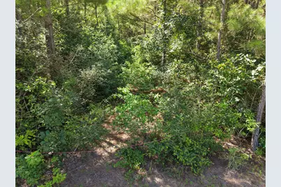 15785 Woodlife Road, Willis, TX 77378 - Photo 5
