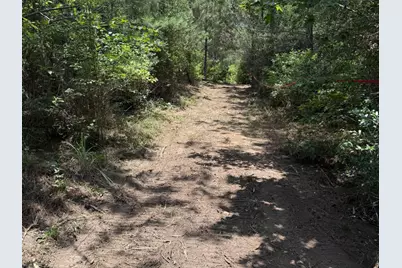 15785 Woodlife Road, Willis, TX 77378 - Photo 7