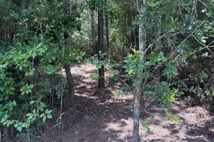 15785 Woodlife Rd, Willis, TX 77378 - Photo 1