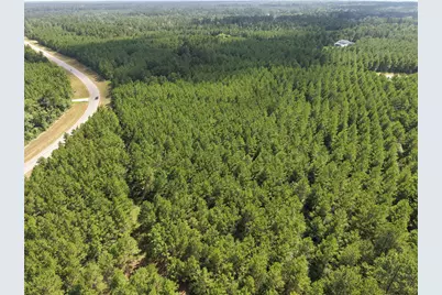 15785 Woodlife Road, Willis, TX 77378 - Photo 11