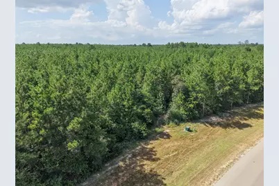 15785 Woodlife Road, Willis, TX 77378 - Photo 15