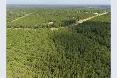 15785 Woodlife Road, Willis, TX 77378 - Photo 13