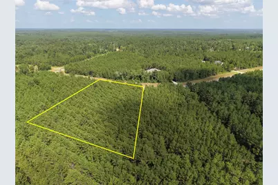 15785 Woodlife Road, Willis, TX 77378 - Photo 3