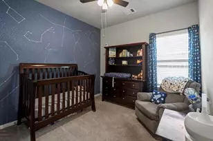 31606 Heguy Pass, Fulshear, TX 77441 - Photo 21