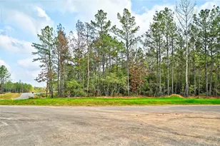 4521 Marfa Ct, Montgomery, TX 77316 - Photo 1