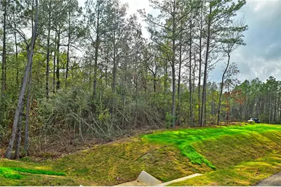 4521 Marfa Court, Montgomery, TX 77316 - Photo 5