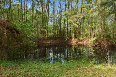 15524 Jim Branch Road, Old River Winfree, TX 77535 - Photo 37