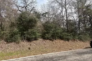 Tbd Pleasant Hill Rd, Bryan, TX 77807 - Photo 1