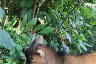 118 Rua Do Eido, Lincolnville, ME 4850- - Photo 9