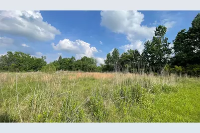 0 Mac Lane, Ames, TX 77575 - Photo 1