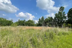 0 Mac Ln, Ames, TX 77575 - Photo 1