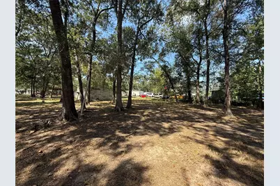 384 County Road 4017, Dayton, TX 77535 - Photo 9