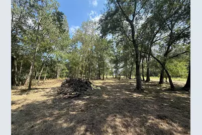 384 County Road 4017, Dayton, TX 77535 - Photo 15