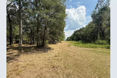 384 County Road 4017, Dayton, TX 77535 - Photo 5