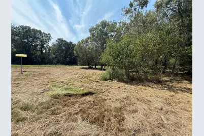 384 County Road 4017, Dayton, TX 77535 - Photo 19