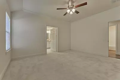 6 Windsor Bridge Drive, Conroe, TX 77384 - Photo 33