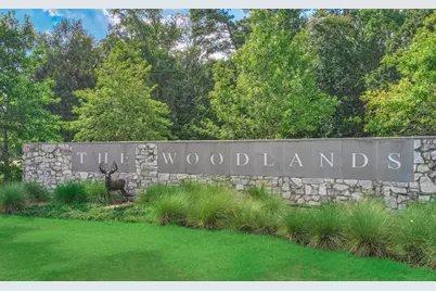 6 Windsor Bridge Drive, Conroe, TX 77384 - Photo 41