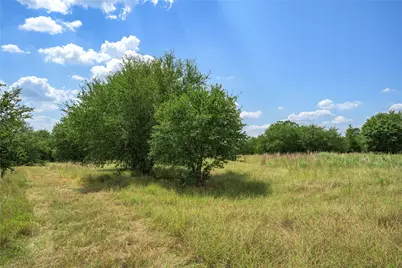 10842 Rauch Road, La Grange, TX 78946 - Photo 15
