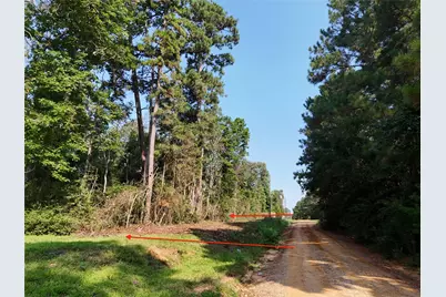 Tbd Ole Long Pull Road, Livingston, TX 77351 - Photo 9