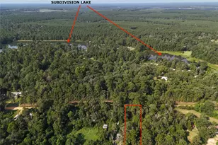 Tbd Ole Long Pull Rd, Livingston, TX 77351 - Photo 1