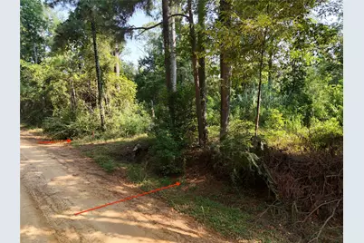 Tbd Ole Long Pull Road, Livingston, TX 77351 - Photo 7