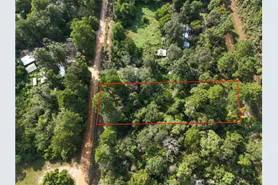 Tbd Ole Long Pull Road, Livingston, TX 77351 - Photo 5