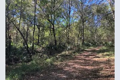 0 115300, Magnolia, TX 77354 - Photo 3