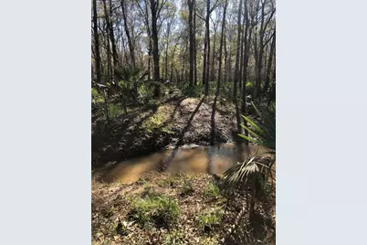 0 115300, Magnolia, TX 77354 - Photo 17